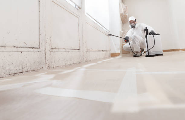 24/7 Emergency Basement Mold Remediation experts in Deer Park, WA